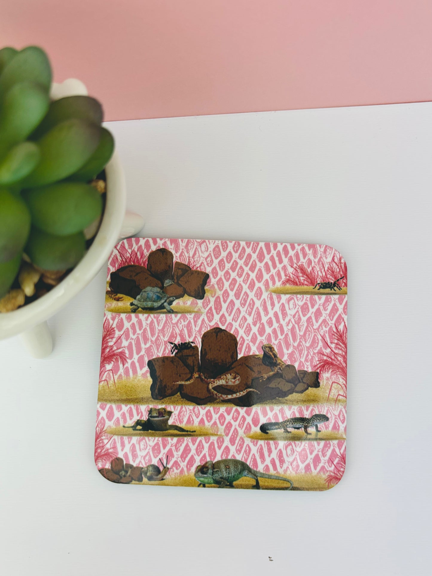 Corked-Backed Coasters Pink Terrarium Themed