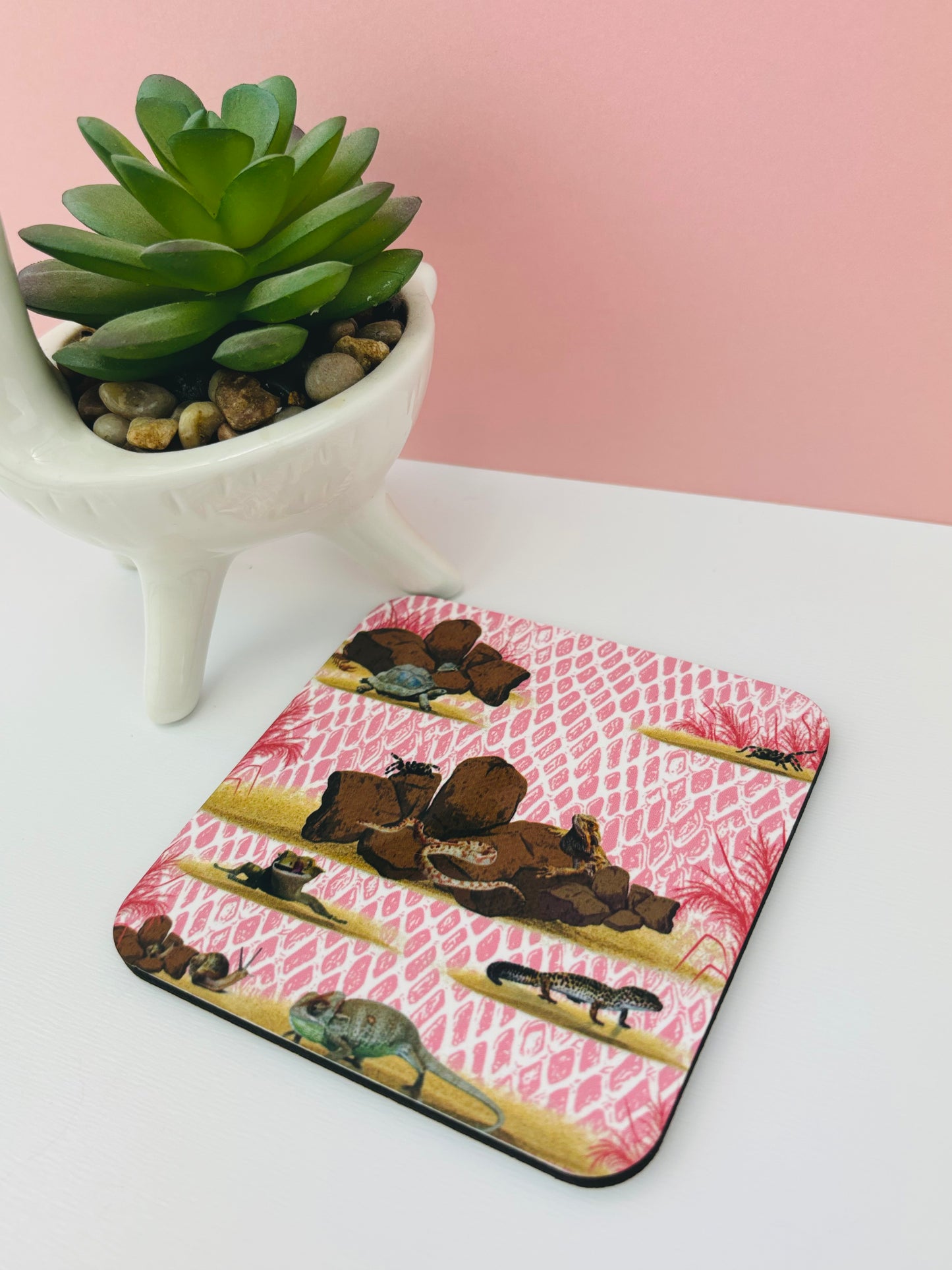 Corked-Backed Coasters Pink Terrarium Themed