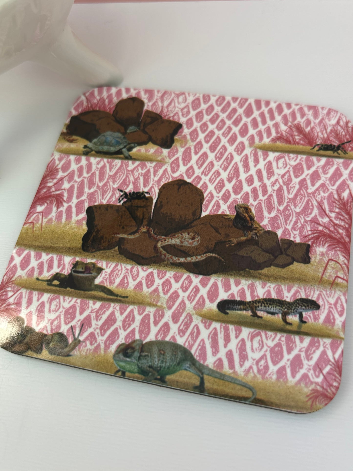 Corked-Backed Coasters Pink Terrarium Themed