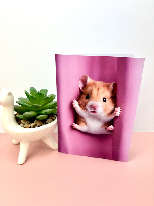 Reggie the Hamster Greeting card set of 4  300gsm Paper