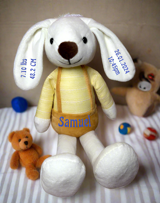 Personalised Dog Teddy